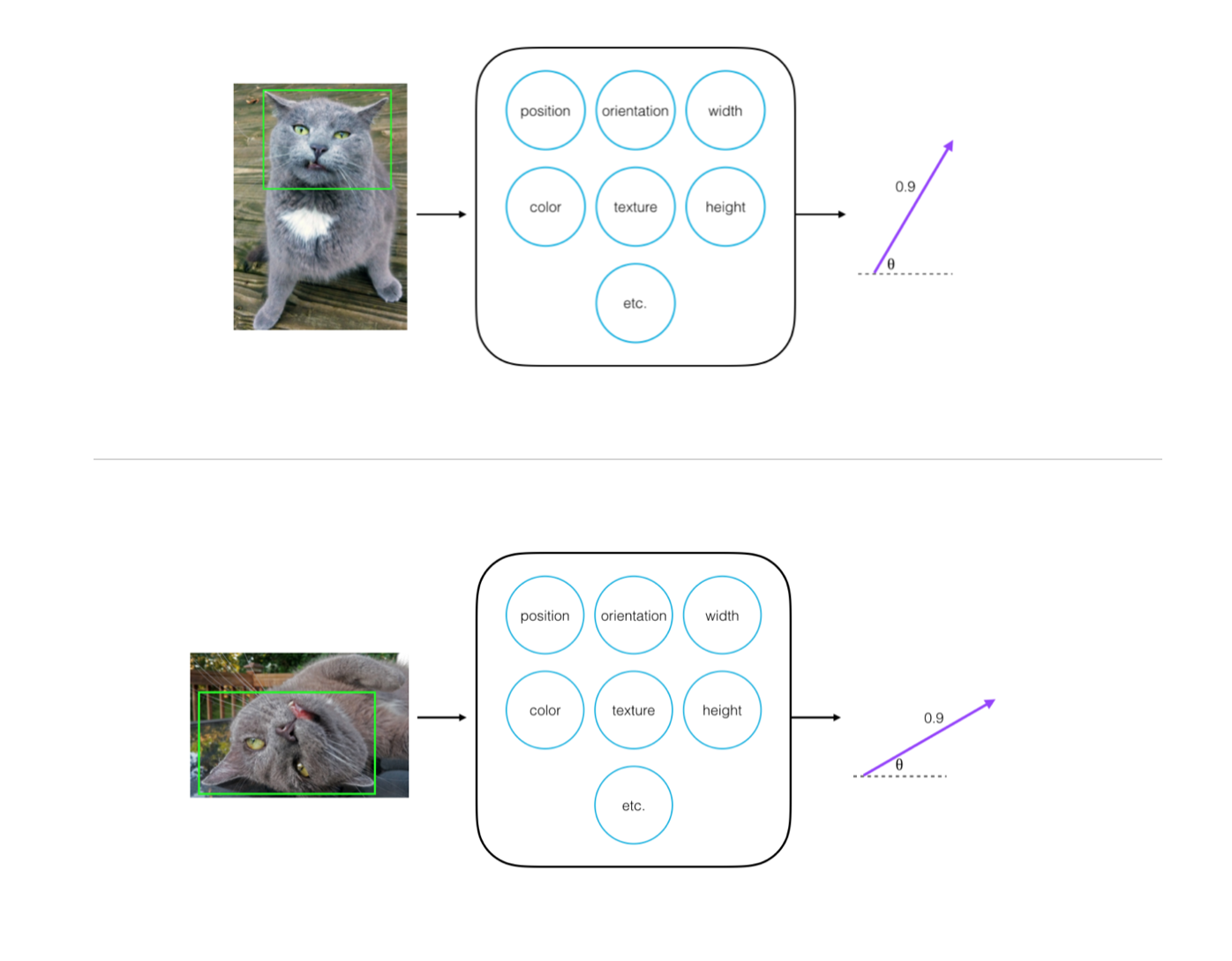 Cat face, recognized in a multiple orientations, co: [this blog post](https://cezannec.github.io/Capsule_Networks/).