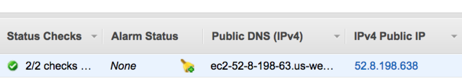 Instance Status Check and Public IP