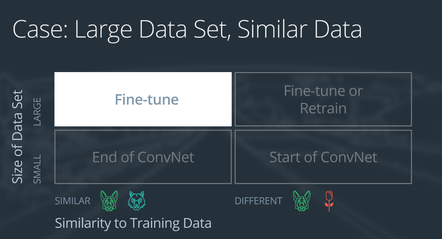 Case 3: large data, similar to ImageNet or pre-trained set.